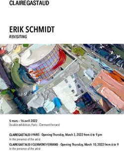 ERIK SCHMIDT - Galerie Claire Gastaud