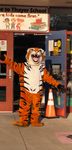 Freedom takes 1st in Homecoming contest - Waynesville R-VI School District