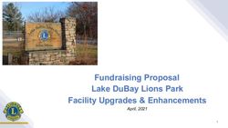 FUNDRAISING PROPOSAL LAKE DUBAY LIONS PARK FACILITY UPGRADES & ENHANCEMENTS - APRIL, 2021