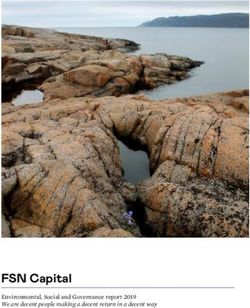 FSN Capital Environmental, Social and Governance report 2019 We are ...
