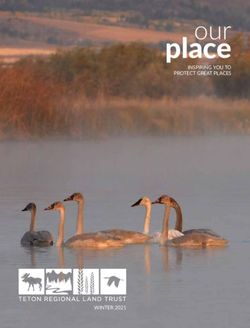 Place INSPIRING YOU TO PROTECT GREAT PLACES - WINTER 2021 - Teton Regional Land Trust