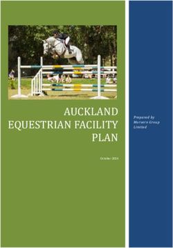 AUCKLAND EQUESTRIAN FACILITY PLAN - Prepared by Morvern Group Limited - Aktive Auckland