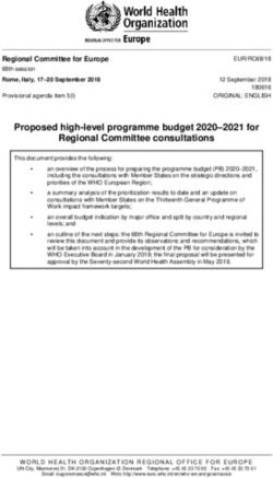 Proposed high-level programme budget 2020-2021 for Regional Committee consultations