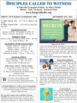 DISCIPLES CALLED TO WITNESS - St John the Evangelist Parish / St. Mary Parish - Welcome to the Catholic ...