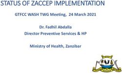 STATUS OF ZACCEP IMPLEMENTATION - GTFCC WASH TWG Meeting, 24 March 2021 Dr. Fadhil Abdalla Director Preventive Services & HP Ministry of Health ...