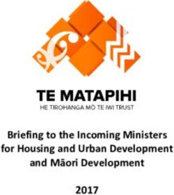 Briefing to the Incoming Ministers for Housing and Urban Development and Māori Development 2017 - Squarespace