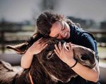 THE DONKEY2021 - THE DONKEY BREED SOCIETY