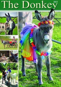 THE DONKEY2021 - THE DONKEY BREED SOCIETY