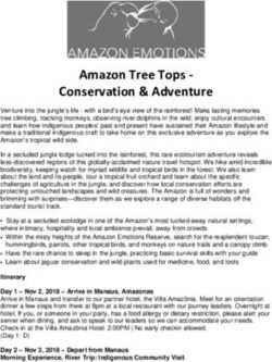 Amazon Tree Tops - Conservation & Adventure - Conservation & Adventure