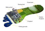 CARBON DISCLOSURE AND CLIMATE RISK IN SOVEREIGN BONDS - DECEMBER 2016 - Finance for Change - Global ...