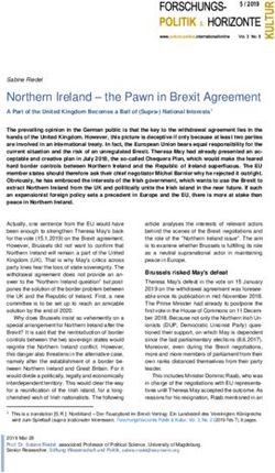 Northern Ireland - the Pawn in Brexit Agreement - Sabine ...
