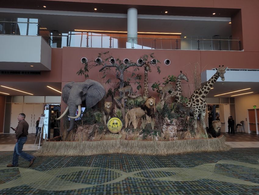 Safari Club International convention peddles hunts of endangered and