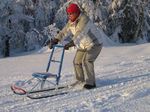 WEEKLY SAFARI PROGRAM IN HOTEL ISOSYÖTE - WINTER - Hotelli Iso-Syöte