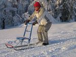 WEEKLY SAFARI PROGRAM IN HOTEL ISOSYÖTE - WINTER - Hotelli Iso-Syöte