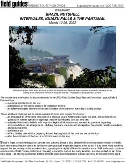 BRAZIL NUTSHELL INTERVALES, IGUAZU FALLS & THE PANTANAL