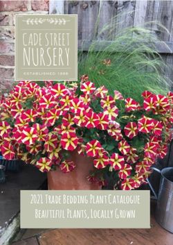 2021 Trade Bedding Plant Catalogue Beautiful Plants, Locally Grown