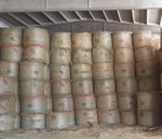 Livestock farming on mountains - San Giorgio Dairy and other OG active - Agricoltura Emilia-Romagna