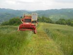 Livestock farming on mountains - San Giorgio Dairy and other OG active - Agricoltura Emilia-Romagna