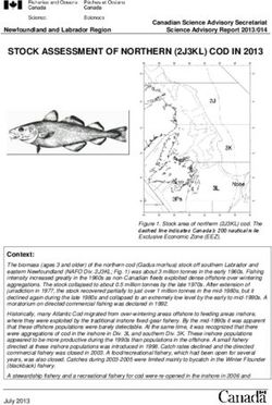 STOCK ASSESSMENT OF NORTHERN (2J3KL) COD IN 2013