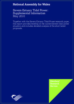 Severn Estuary Tidal Power: Supplemental Information May 2010