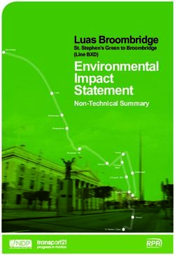 Environmental Impact Statement - Non-Technical Summary - European Investment Bank