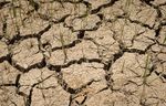 WFP Global Update on COVID-19: November 2020 - Growing Needs, Response to Date and What's to Come in 2021