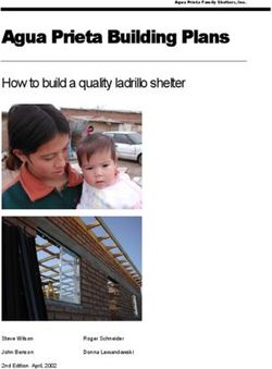 Agua Prieta Building Plans - How to build a quality ladrillo shelter - Steve Wilson John Benson