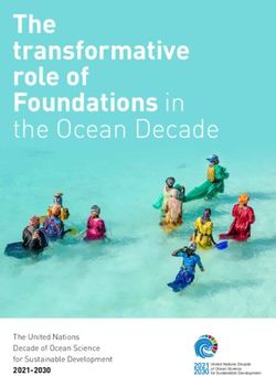 The transformative role of Foundations in the Ocean Decade - The United Nations Decade of Ocean Science for Sustainable Development