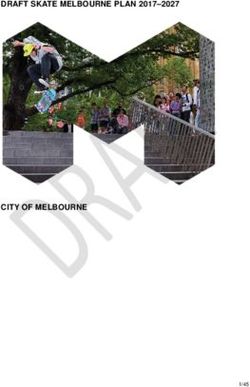 DRAFT SKATE MELBOURNE PLAN 2017-2027 - CITY OF MELBOURNE - Amazon AWS
