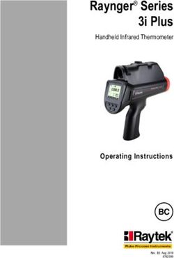 Raynger Series 3i Plus - Handheld Infrared Thermometer - BC