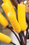 Course Schedule - Valrhona