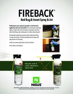 FIREBACK Bed Bug & Insect Spray & Jet
