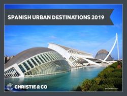 SPANISH URBAN DESTINATIONS 2019 - Christie & Co