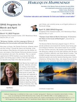 HARLEQUIN HAPPENINGS - Squarespace