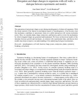 Elongation and shape changes in organisms with cell walls: a dialogue between experiments and models