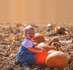 2018 PUMPKIN FESTIVAL - SERVICE AGREEMENT & VENDOR APPLICATION - Denver Botanic Gardens