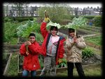 Bradford District Food Strategy - Bradford Council
