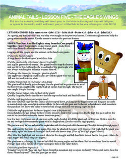 ANIMAL TAILS - LESSON FIVE - THE EAGLE'S WINGS