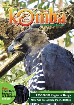 The Black Leopard of Laikipia - Plus Fascinating Eagles of Kenya