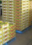 Orchard Biosecurity Manual - for the Mango Industry Version 1.0 - Farm Biosecurity
