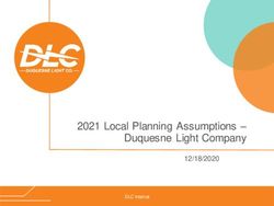 2021 Local Planning Assumptions - Duquesne Light Company 12/18/2020