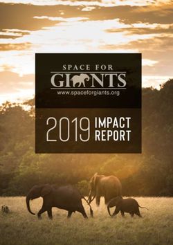2019 IMPACT REPORT - Space for Giants