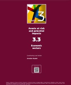 3.3 Economic Assets at risk and potential impacts