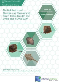 The Distribution and Abundance of Elasmobranch Fish in Tralee, Brandon and Dingle Bays in 2018-2019 2020