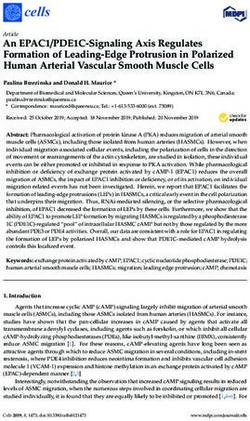 An EPAC1/PDE1C-Signaling Axis Regulates Formation of Leading-Edge Protrusion in Polarized Human Arterial Vascular Smooth Muscle Cells - MDPI