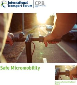 CPB - Safe Micromobility - ITF Remote Access