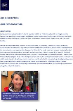 JOB DESCRIPTION CHIEF EXECUTIVE OFFICER - Lumos Foundation