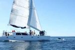 ARCBEST PRESIDENT'S CLUB 2022 - Activity Portfolio Activities Offered to Members & Guests