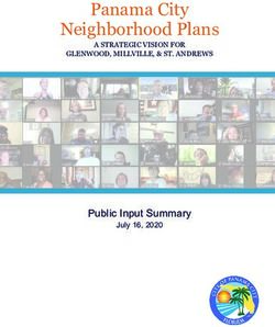 Panama City Neighborhood Plans - Public Input Summary July 16, 2020 - Rebuild Panama City