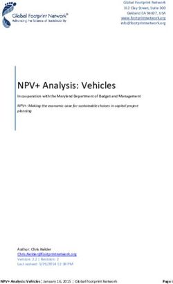 NPV+ Analysis: Vehicles - Global Footprint Network